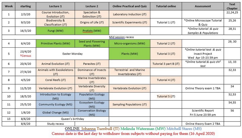 Screenshot of timetable used to map out multiple subject components in a clear manner